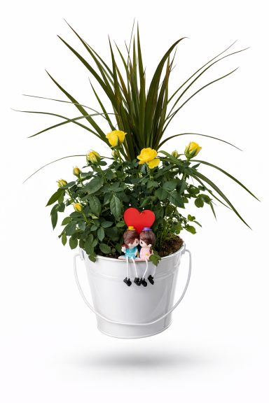 COMPO CON DRÁCENA Y ROSAL.